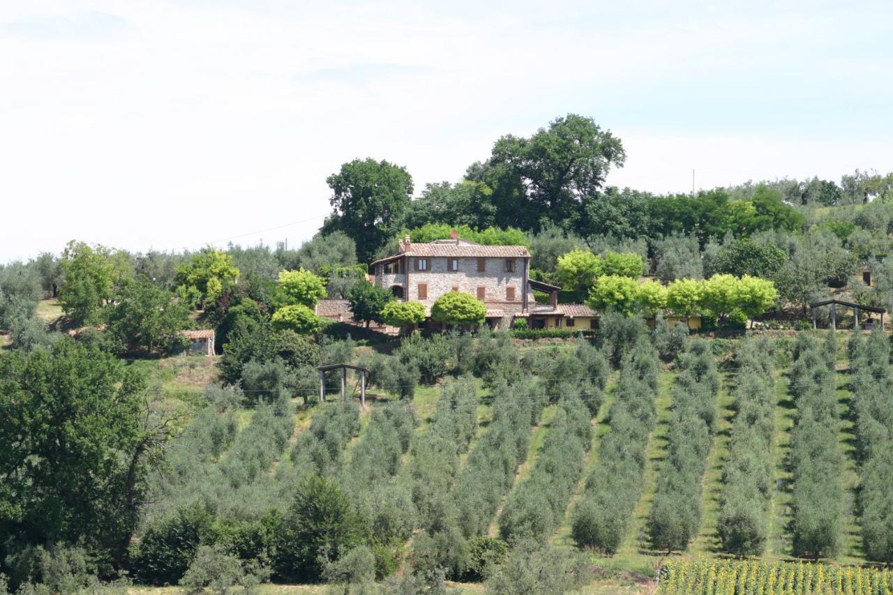 Agriturismo Oliveto Di Geltrude Contessa Amelia Exteriör bild
