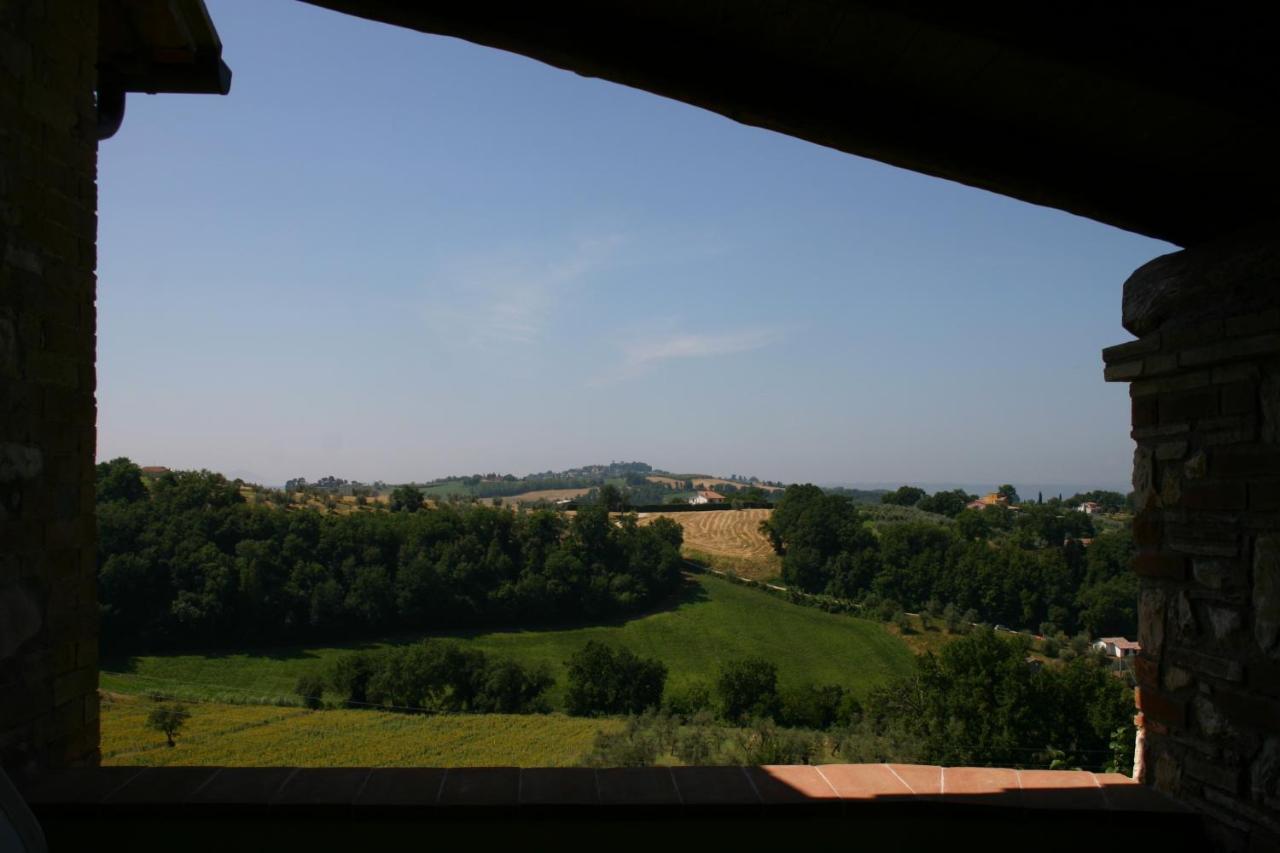 Agriturismo Oliveto Di Geltrude Contessa Amelia Exteriör bild